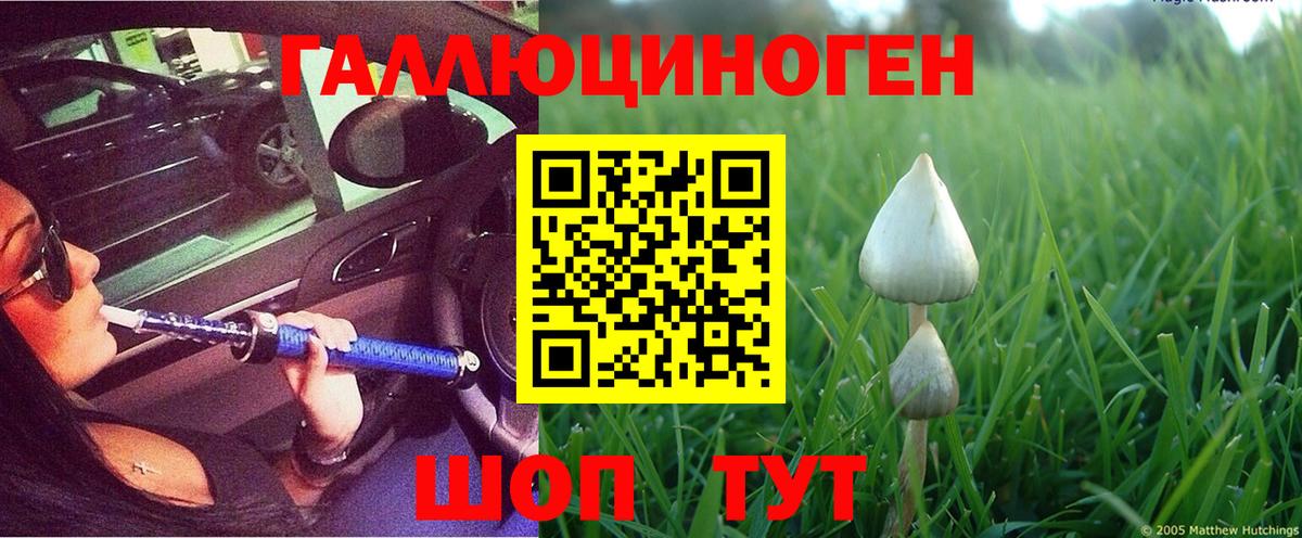 Псилоцибиновые грибы Cubensis Ханты-Мансийск